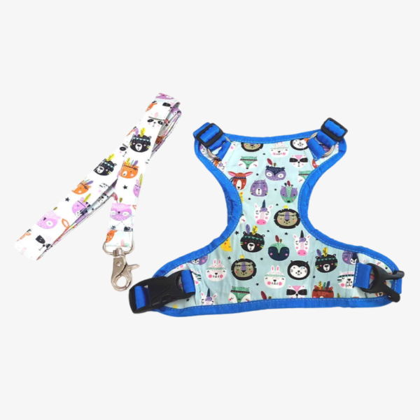 Cartoon Dog Harness With Matching Leash