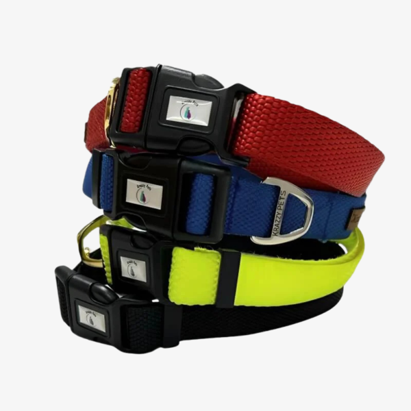 Premium Nylon Dog Collar (Black)