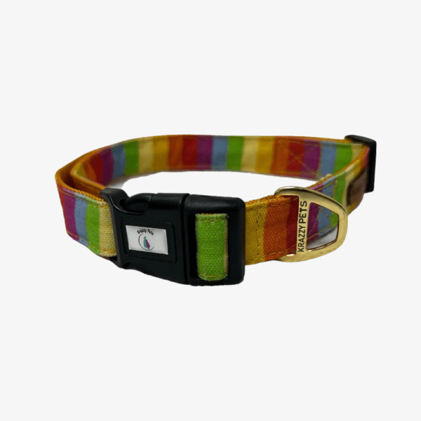 Personalized Rainbow Dog Collar