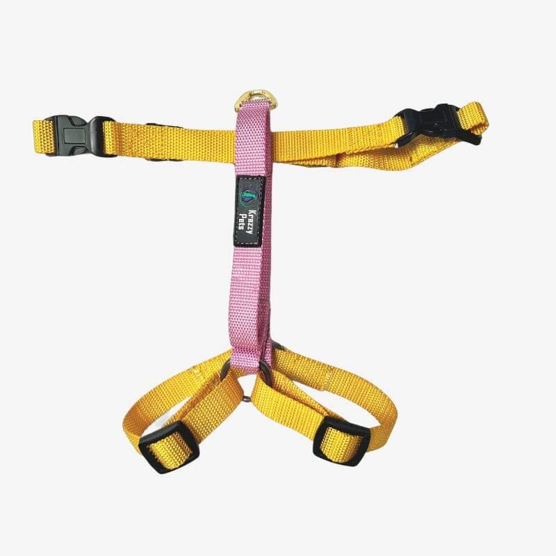 Nylon Dog H-Harness