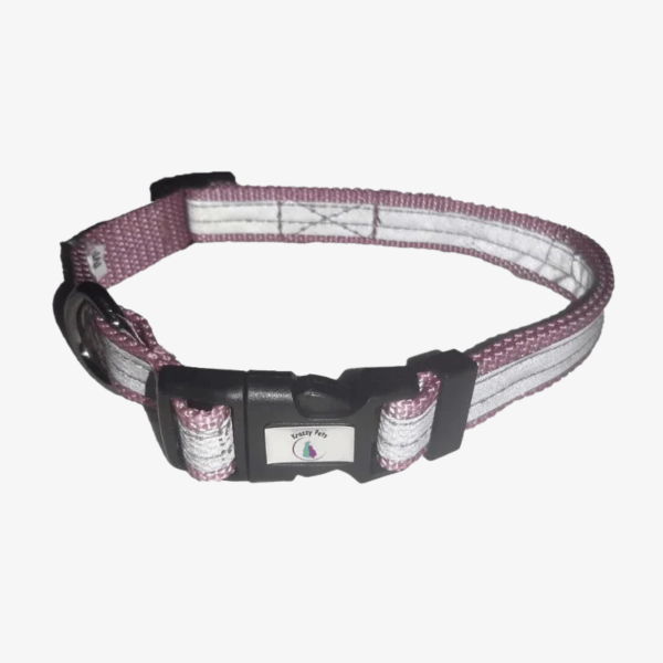 Reflective Dog Collar For Streeties