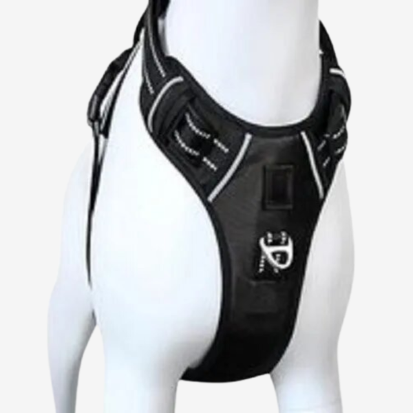 Easy Control Soft Padding Dog Harness – Black