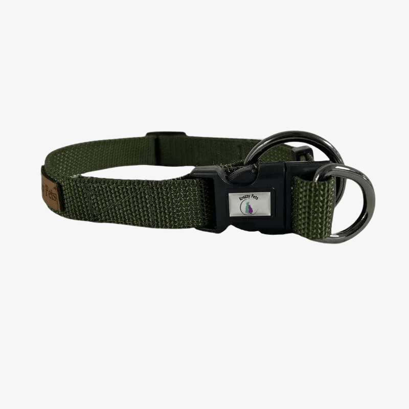 nylon dog collar