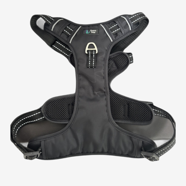 Easy Control Soft Padding Dog Harness – Black