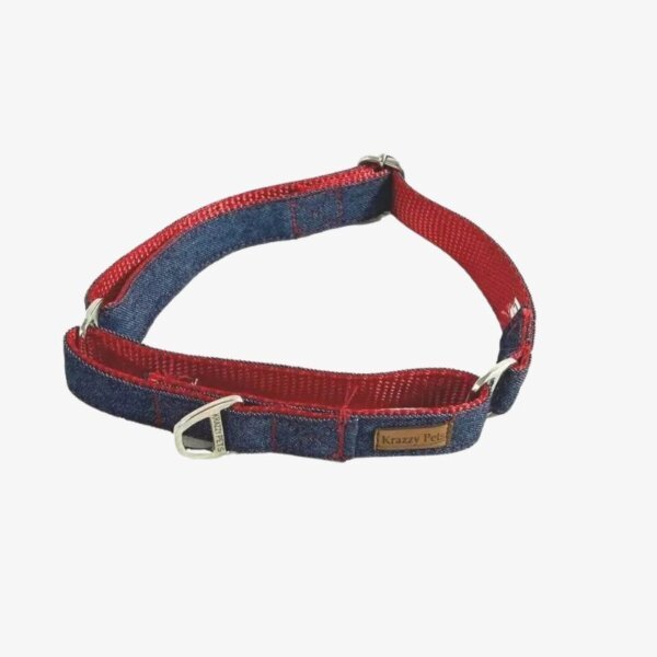 Blue Denim Martingale Dog Collar