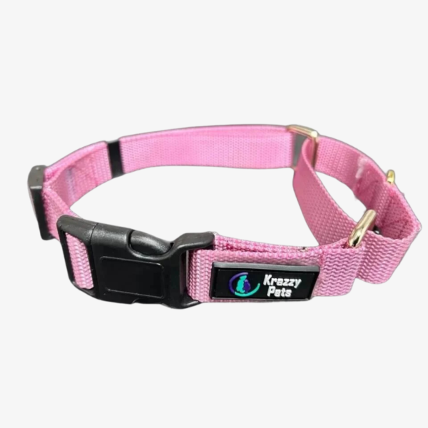 Training Martingale Dog Collar