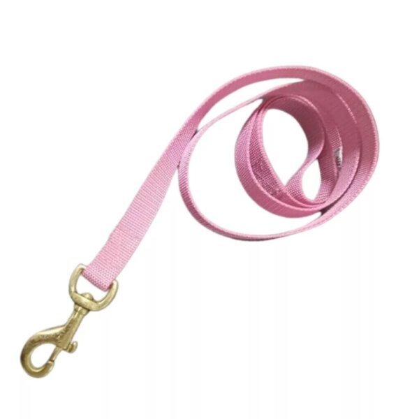 Premium Nylon Dog Leash (Pink)