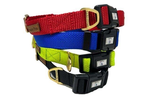 Premium Nylon Dog Collar (Blue)