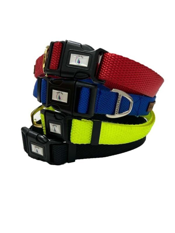 Premium Nylon Dog Collar (Red)