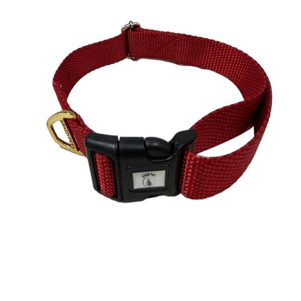 Premium Nylon Dog Collar (Red)