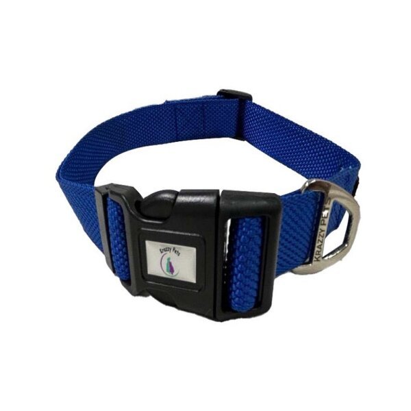 Premium Nylon Dog Collar (Blue)