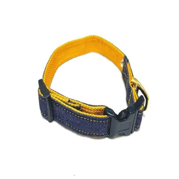 dog-collar