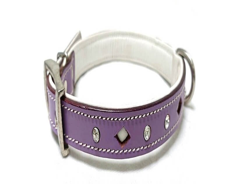 leather dog collar