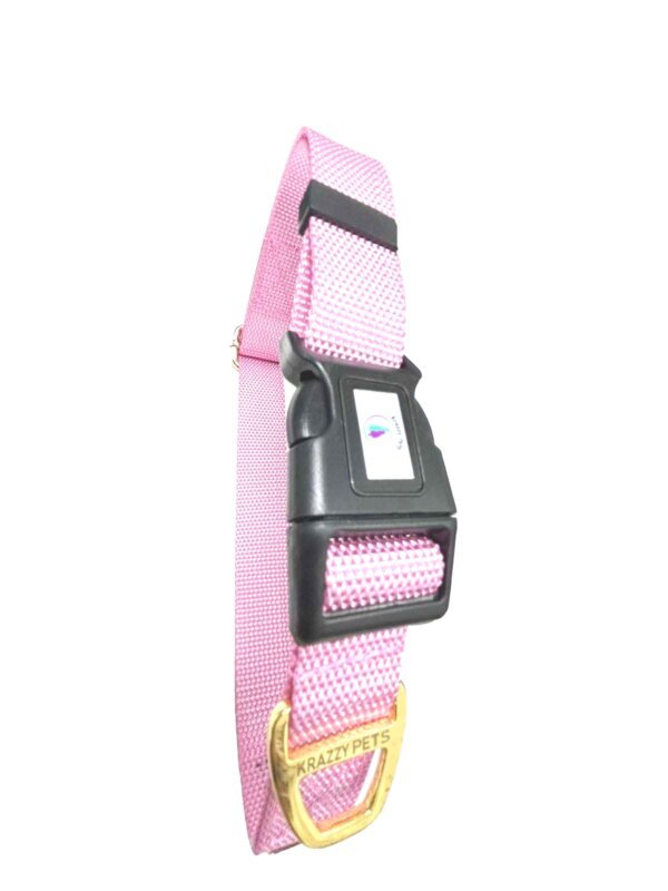 Premium Nylon Dog Collar (Pink)