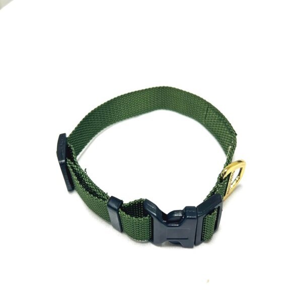 Premium Nylon Dog Collar (Green)