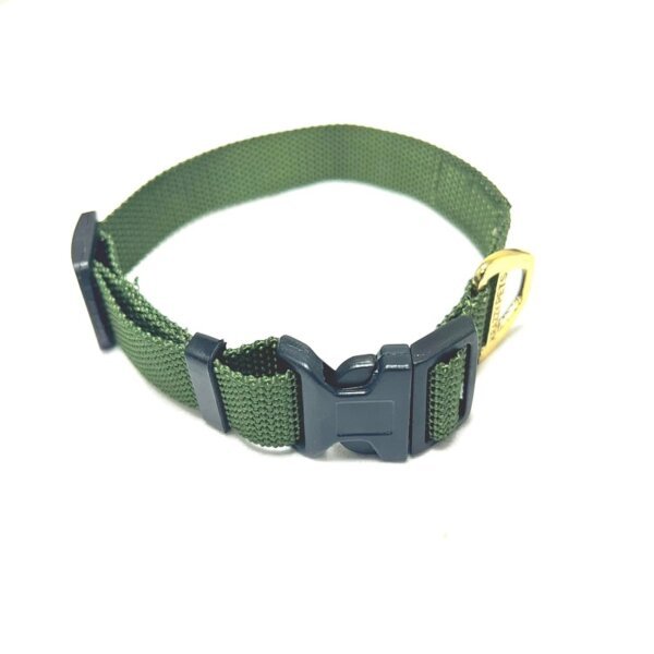 Premium Nylon Dog Collar (Green)