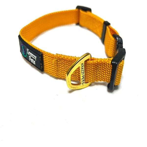 nylon dog collar