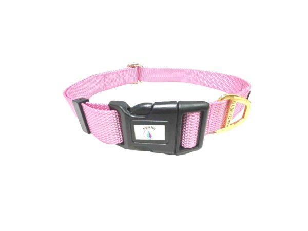 nylon dog collar