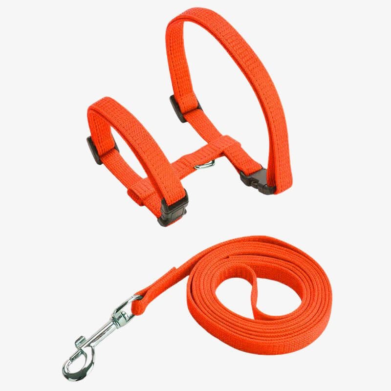 Cat Harness for Walking – Adjustable & Secure Harness