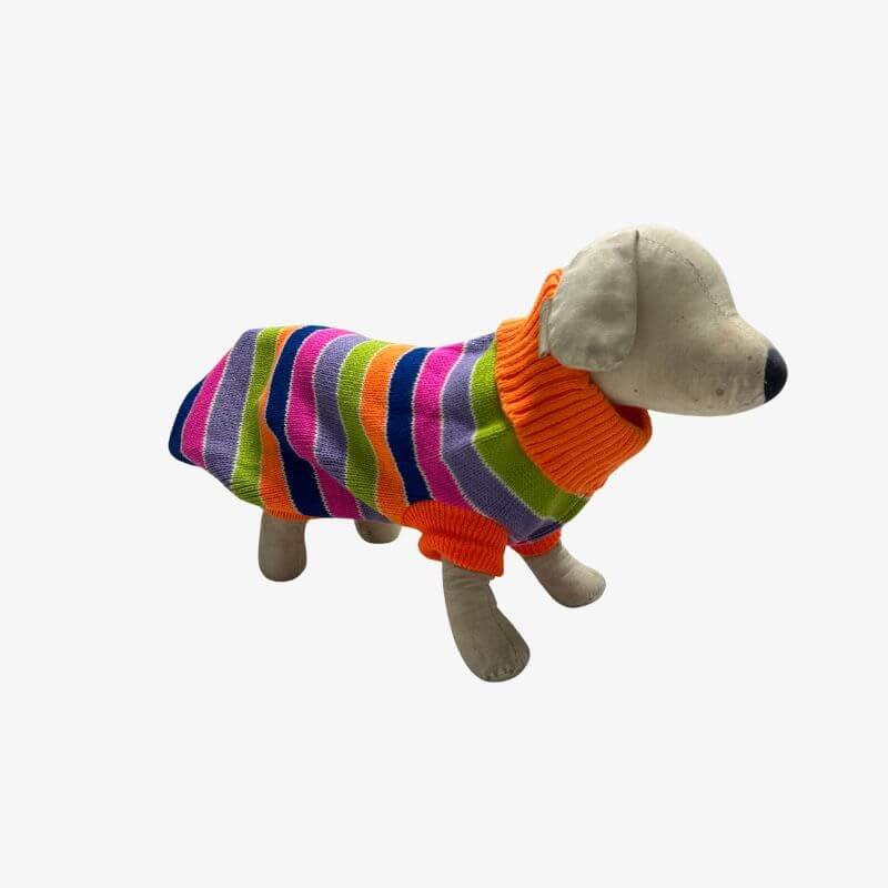 beauty-rainbow-turtle-neck-dog-sweater