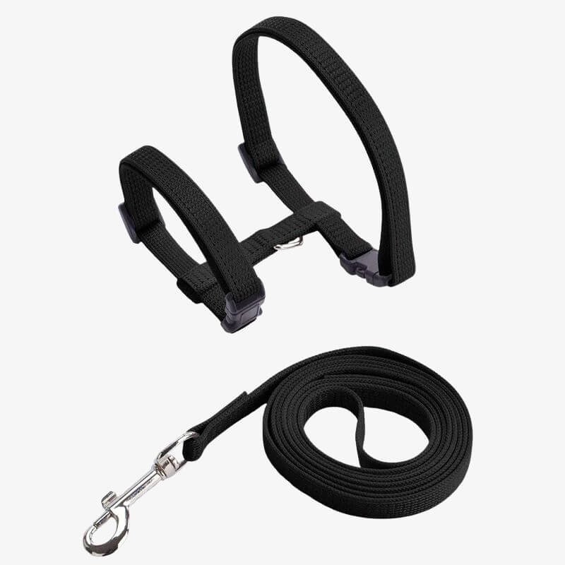 Cat Harness for Walking – Comfort Outdoor Harness for Cats