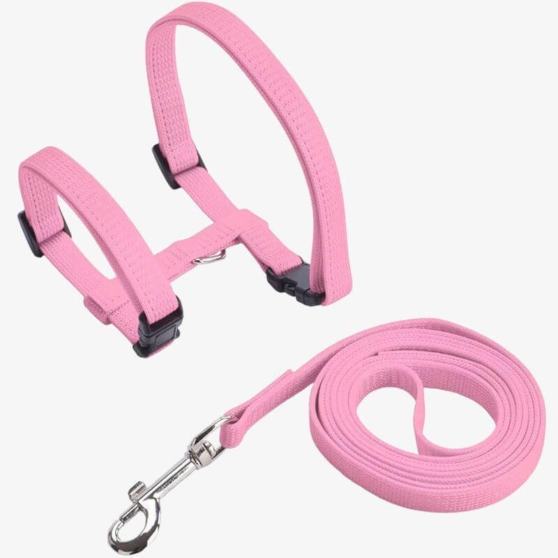 Cat Harness for Walking – Comfortable Outdoor Cat Vest