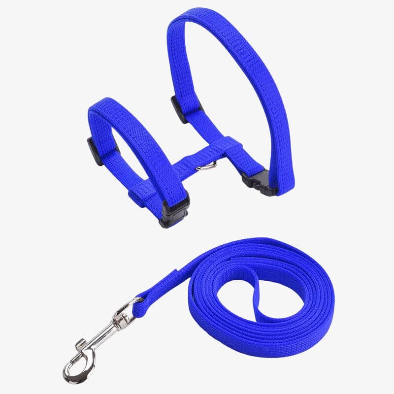 Cat Harness for Walking – Escape-Proof Outdoor Harness