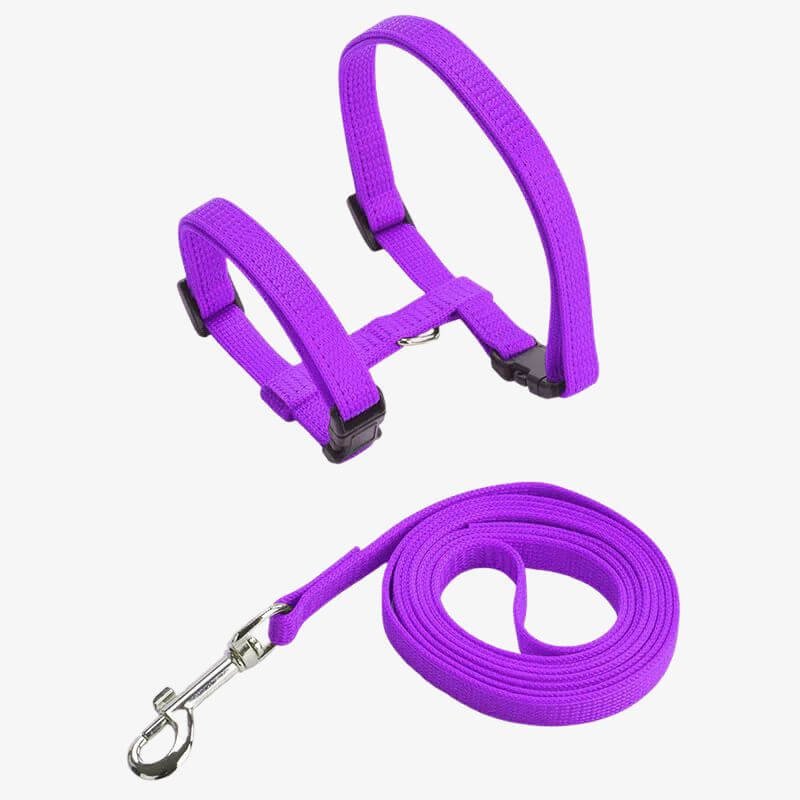 Cat Harness for Walking – Safe Outdoor Pet Harness