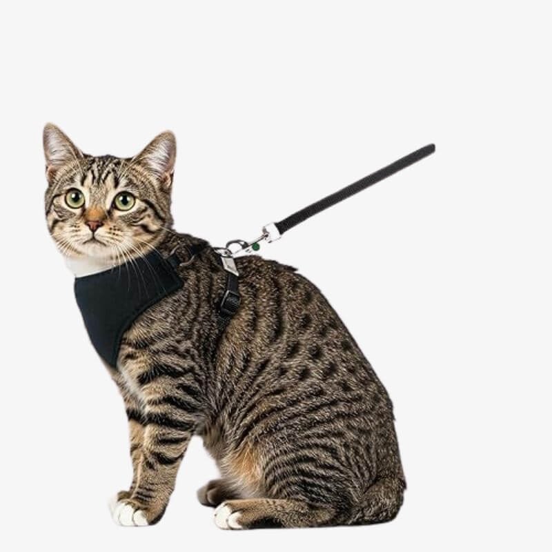 Cat Mesh Harness – Breathable Outdoor Harness with Leash