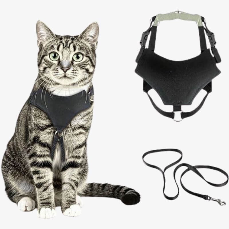 Cat Mesh Harness – Breathable Outdoor Harness with Leash