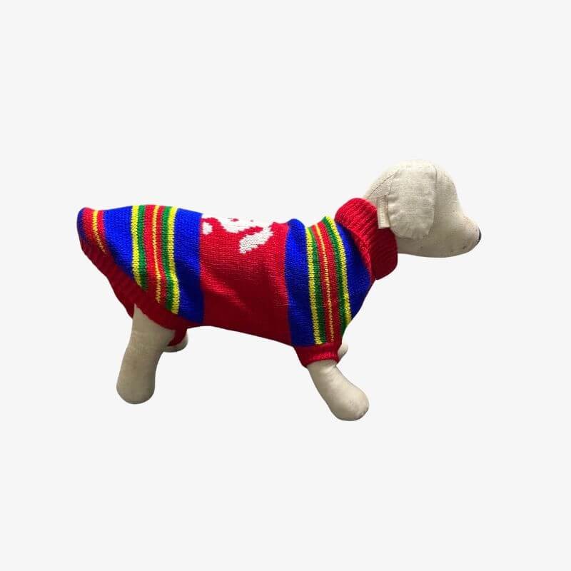 cozy-dog-sweater-for-winter