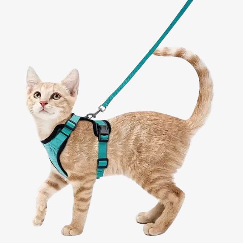 Escape Proof Lightweight Cat Mesh Harness