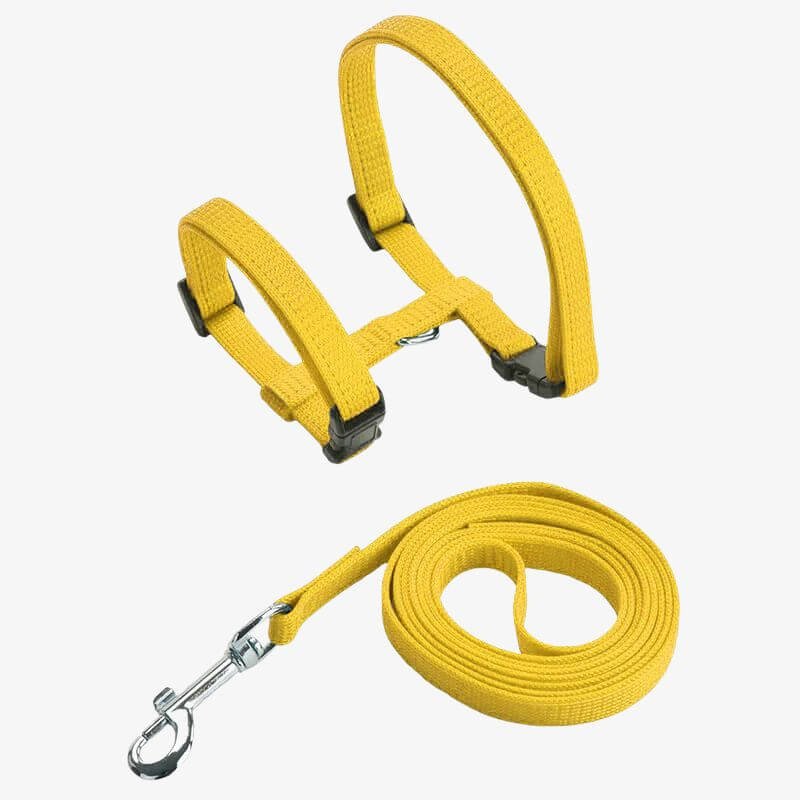 Soft Adjustable Cat Harness for Walking